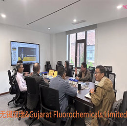 歡迎印度Gujarat Fluorochemicals Limited公司訪問無錫雙瑞